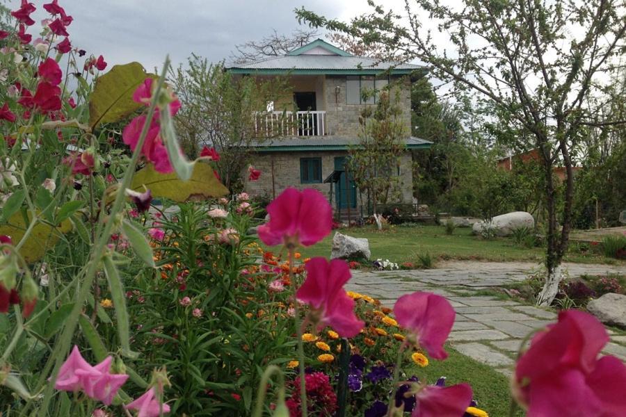 Nagri Resort Pālampur Eksteriør billede