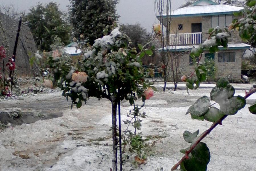Nagri Resort Pālampur Eksteriør billede